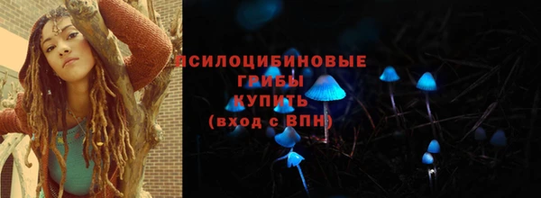 2c-b Богородицк