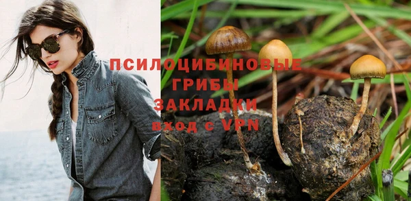 метамфетамин Богданович